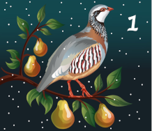 Traditionally, A partridge in a pear tree Traditionally, A partridge in a pear tree